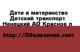 Дети и материнство Детский транспорт. Ненецкий АО,Красное п.